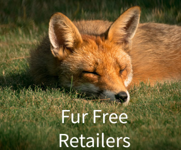 Devohome стали частью мирового сообщества Fur Free Retailer!