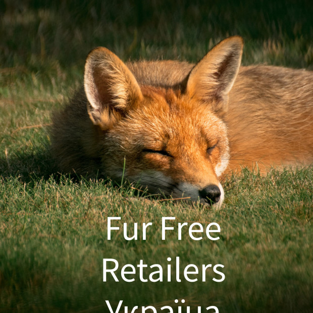 Devohome стали частиною світової спільноти Fur Free Retailer!