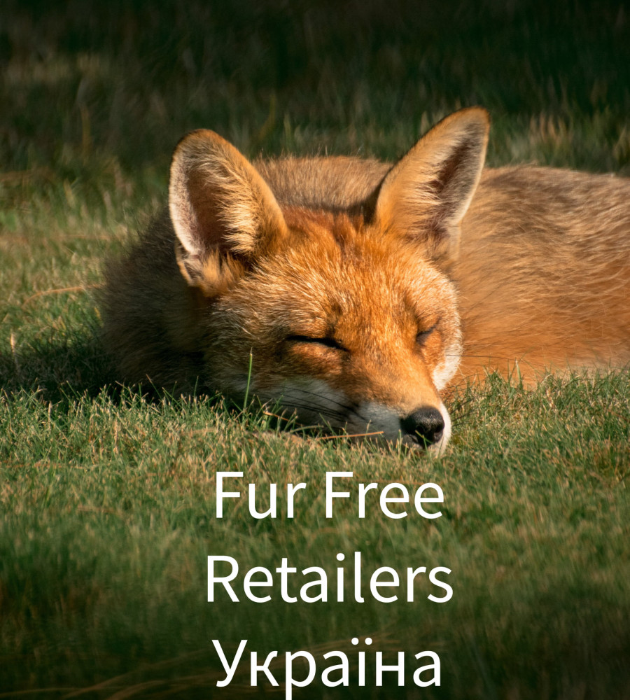 Devohome стали частиною світової спільноти Fur Free Retailer!>