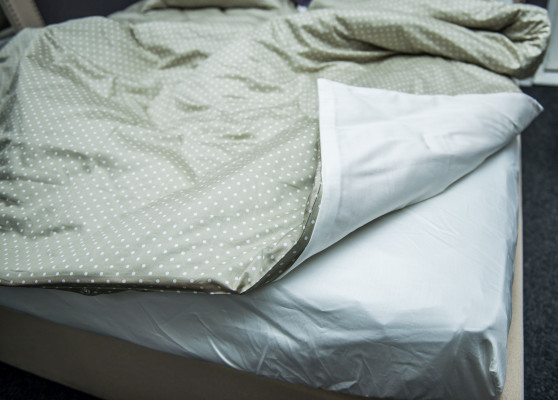 Фото 1 ГОРОХИ комплект сатинового постельного белья (Двуспальный Евро)