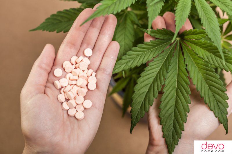 Что делают с коноплей с зернами лечение мигрень марихуаной